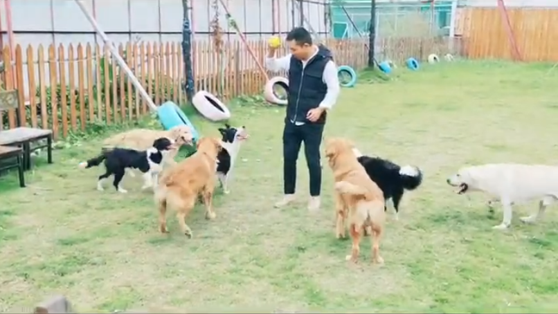 狗狗和家里人谁最亲 狗喜欢和什么样的人亲近?